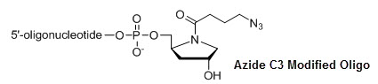 Bio-Synthesis Inc. Oligo Structure